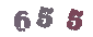 Pārbaudes kods